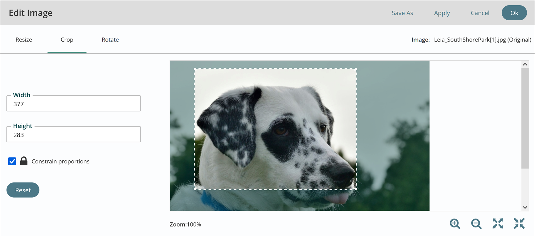 edit image crop box