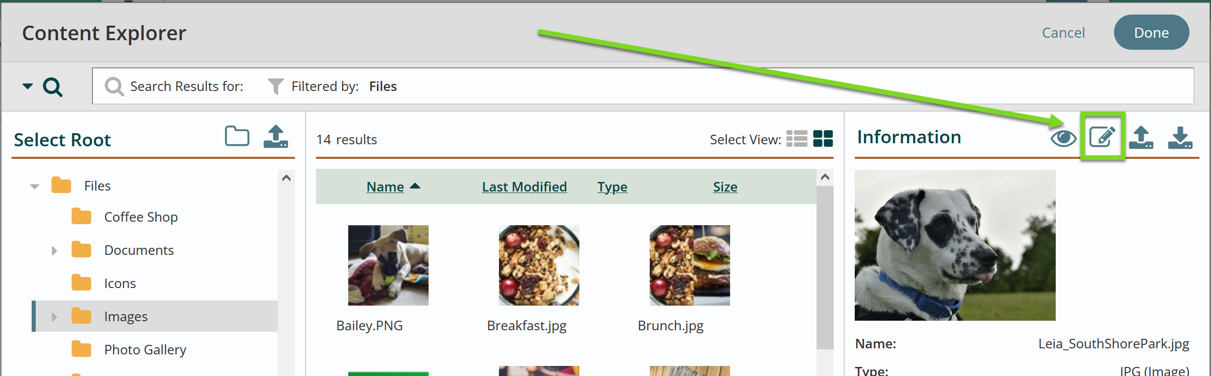edit image icon