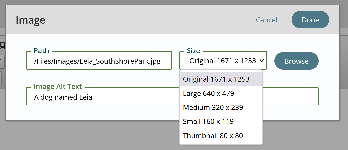 freeform image options filled out