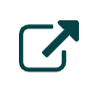 open live version icon